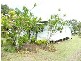 19 Cecily, Atherton QLD 4883