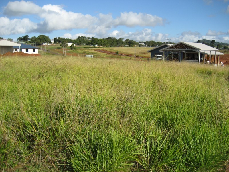Yungaburra QLD 4884