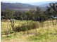 Lot L164, 0093 Rankine Drive, Tolga QLD 4882