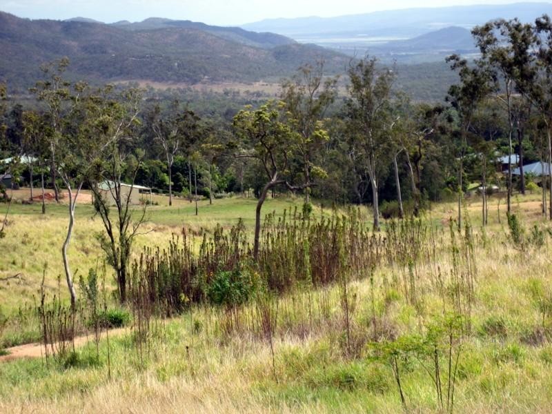 Lot L164, 0093 Rankine Drive, Tolga QLD 4882