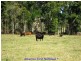 Malanda QLD 4885