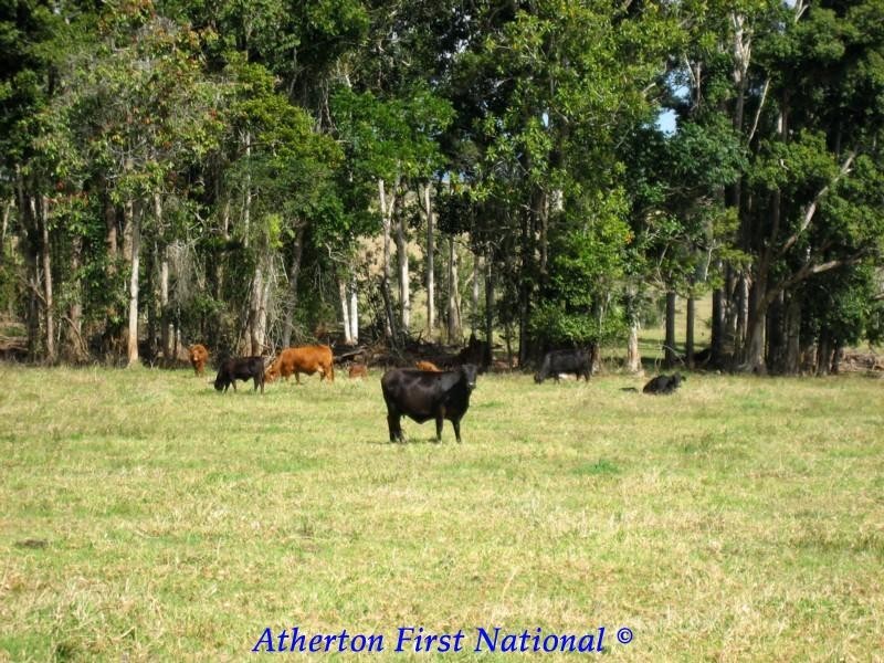 Malanda QLD 4885