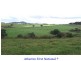 Malanda QLD 4885