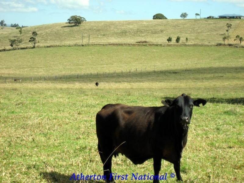 Malanda QLD 4885