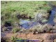 Malanda QLD 4885