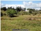 Malanda QLD 4885
