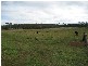 Yungaburra QLD 4884