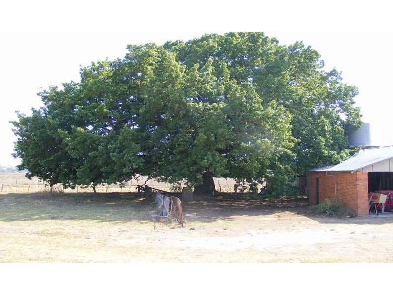 717 Murphy Road, Tongala VIC 3621