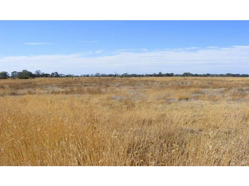 91 Cruse Road, Cooma VIC 3616