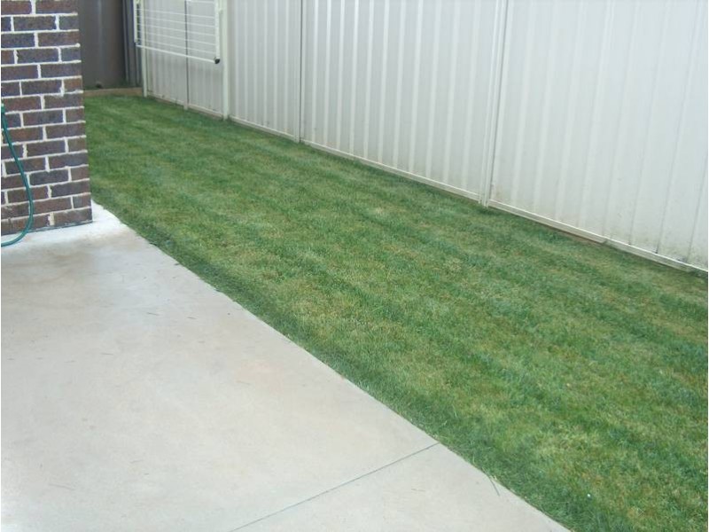 2/239 Fenaughty Street, Kyabram VIC 3620