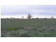 Henderson Road, Tongala VIC 3621