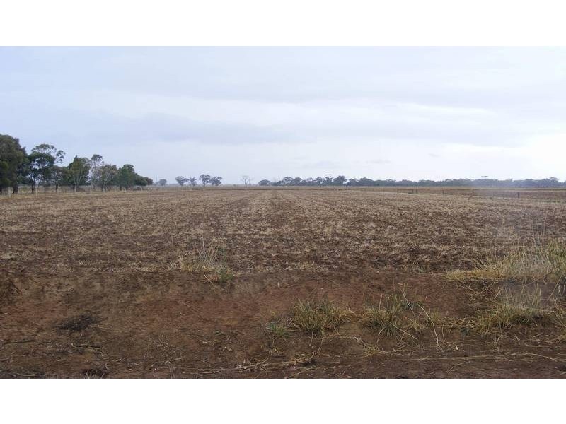 1338 Watson Road, Tongala VIC 3621