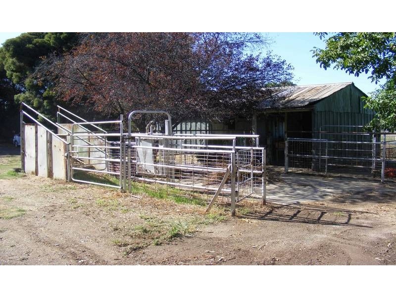 9 Palmer Road, Kyabram VIC 3620