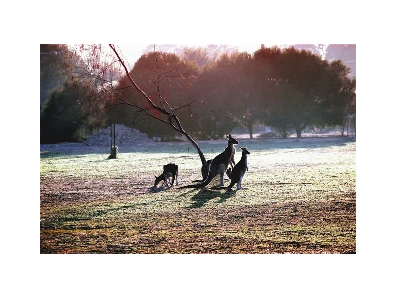 Lake Road, Kyabram VIC 3620