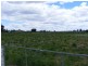 Henderson Road, Tongala VIC 3621