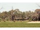 1566 McEwen Road, Kyabram VIC 3620