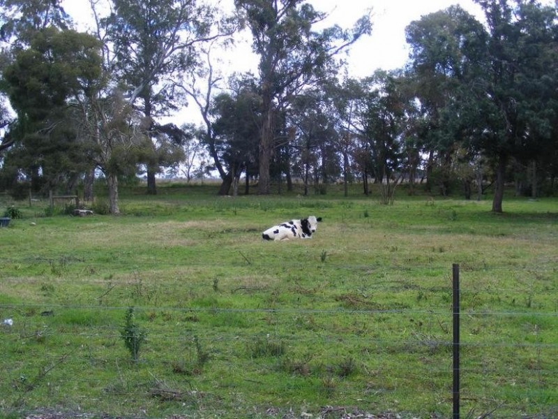 2240 McKenzie Road, Tongala VIC 3621