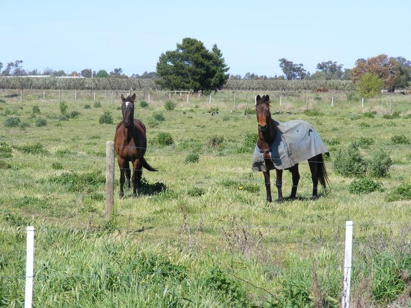 Graham Road, Kyabram VIC 3620