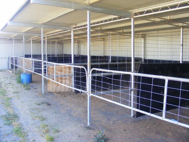 Graham Road, Kyabram VIC 3620