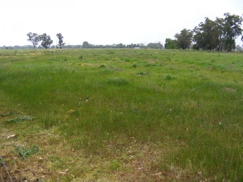 303 Morrissey Road, Stanhope VIC 3623