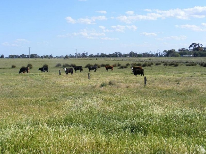 106 Geodetic Road, Stanhope VIC 3623