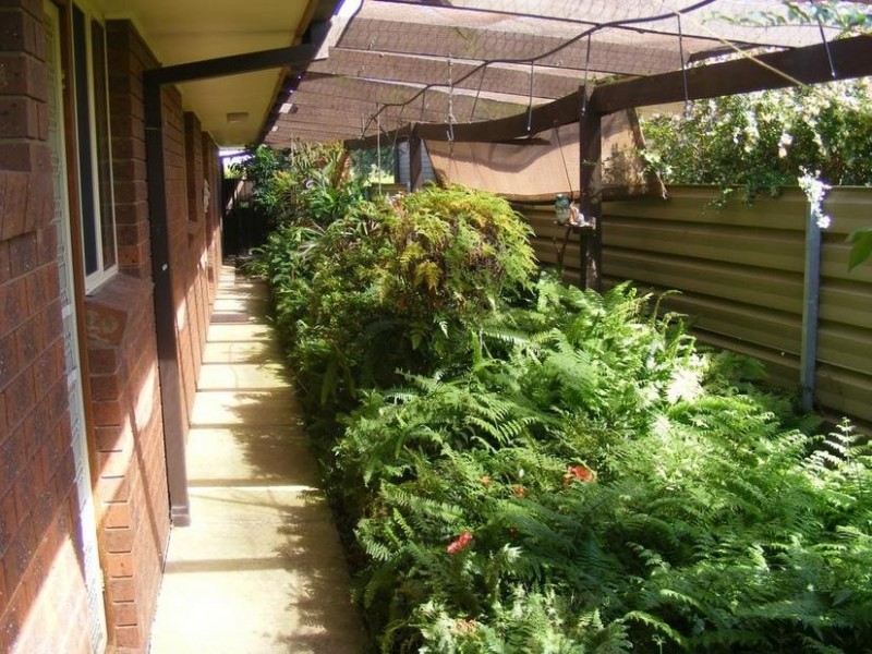 8 Gooda Street, Tongala VIC 3621