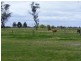 1803 Matheson Road, Tongala VIC 3621