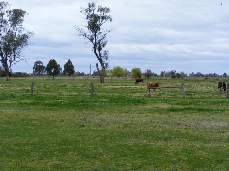 1803 Matheson Road, Tongala VIC 3621