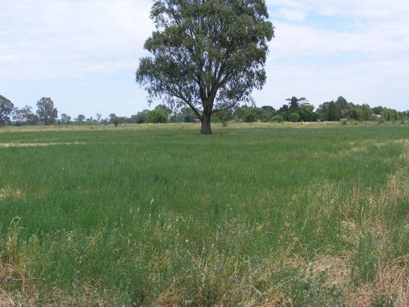 1274 McEwen Road, Kyabram VIC 3620