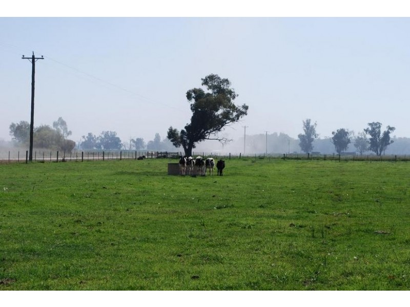 1842 Scobie Road, Wyuna VIC 3620