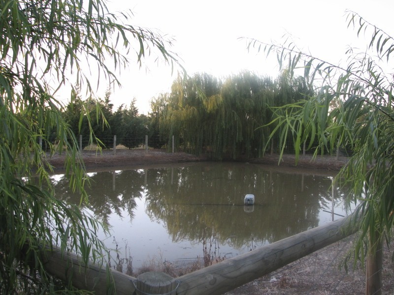 16 Kashelmara Drive, Kyabram VIC 3620