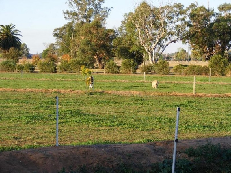 1743 Wilson Road, Tongala VIC 3621