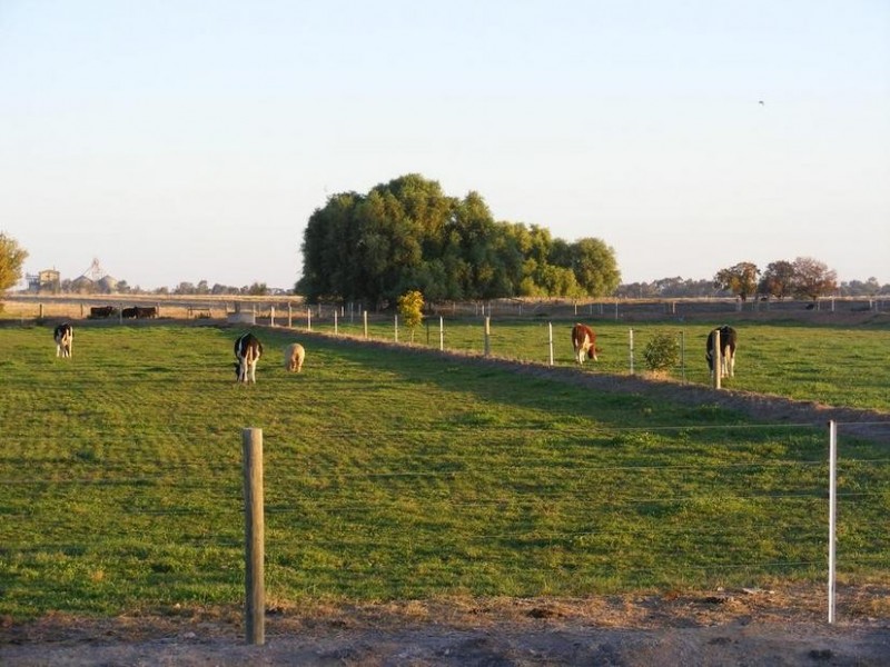 1743 Wilson Road, Tongala VIC 3621