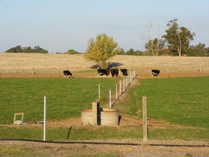 1743 Wilson Road, Tongala VIC 3621