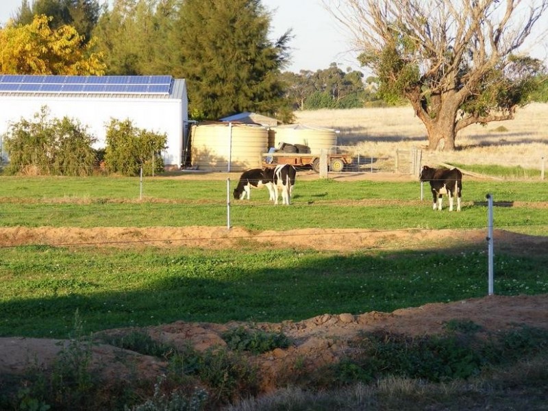 1743 Wilson Road, Tongala VIC 3621