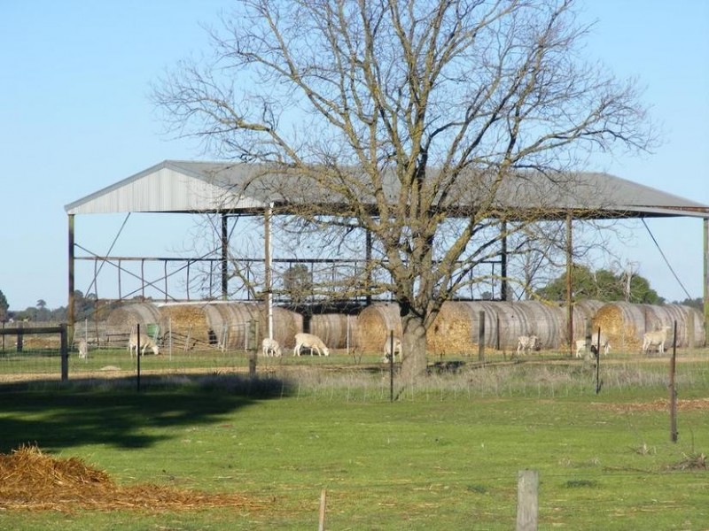 Cnr Finlay Road & Castles Road, Tongala VIC 3621