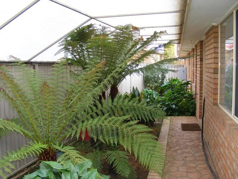 11 Byrnola Court, Kyabram VIC 3620