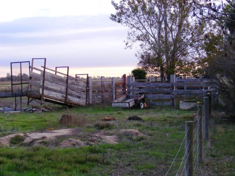 1167 Castles Road, Koyuga VIC 3622