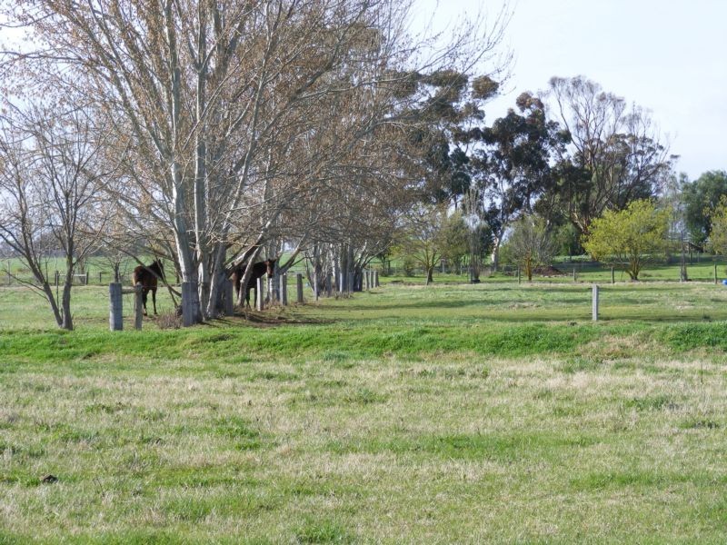 1167 Castles Road, Koyuga VIC 3622