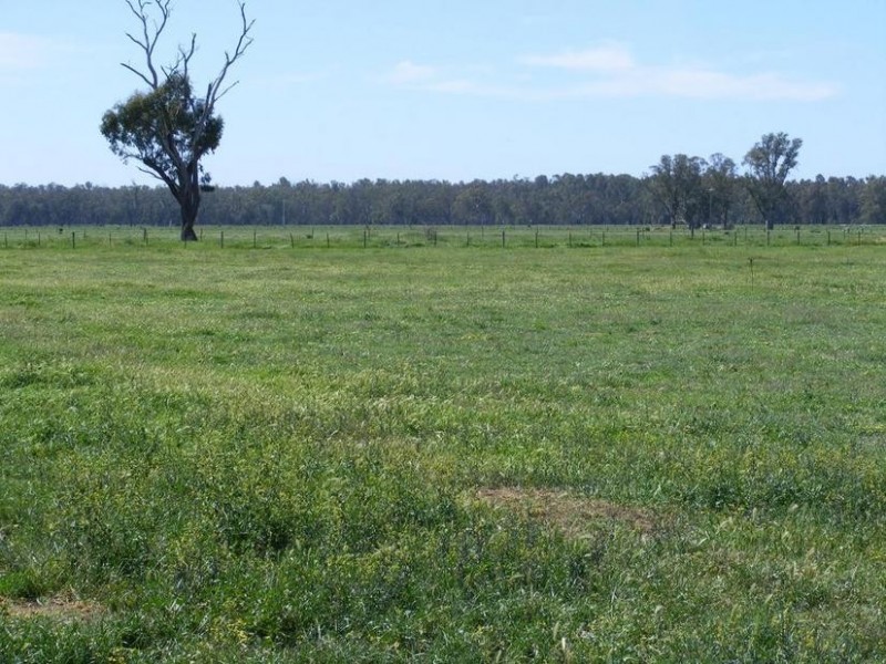 1842 Scobie Road, Wyuna VIC 3620