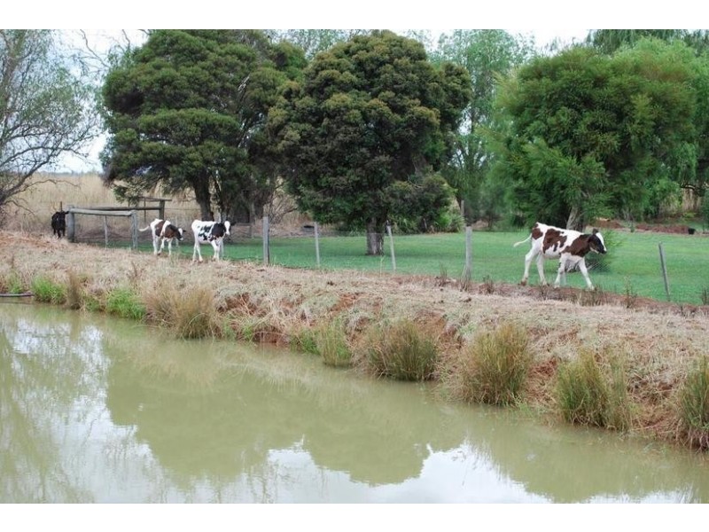 1842 Scobie Road, Wyuna VIC 3620