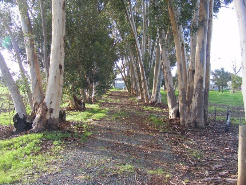 3847 Midland Hwy, Stanhope VIC 3623