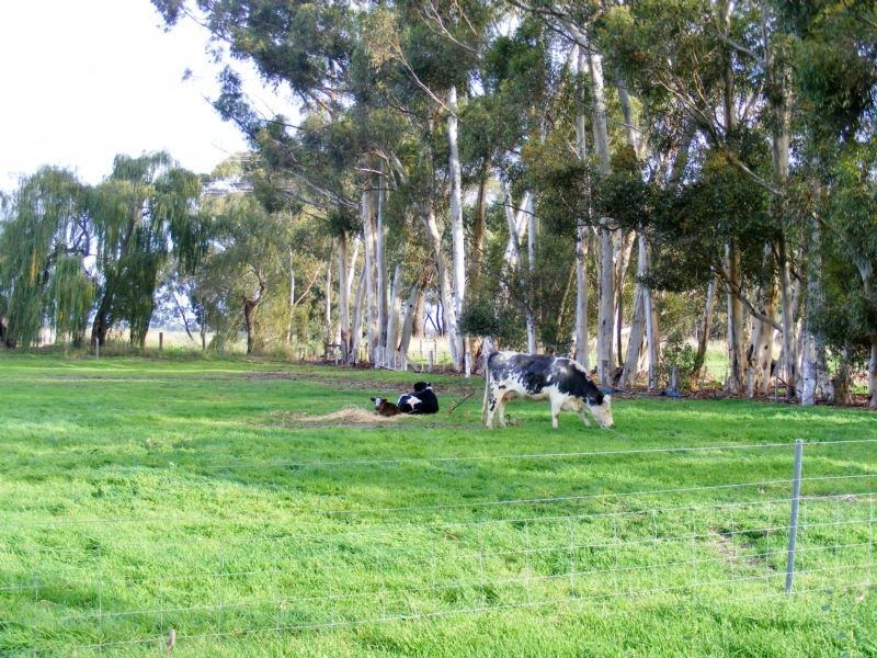 3847 Midland Hwy, Stanhope VIC 3623