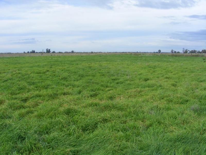 916 Goddard Road, Wyuna VIC 3620