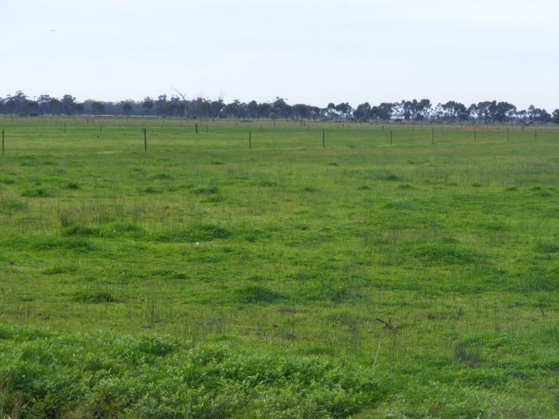 372 Matheson Road, Lancaster VIC 3620