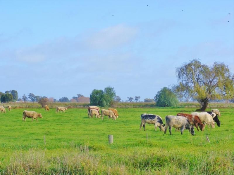 1239 McBain Road, Tongala VIC 3621