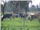 3799 Midland Hwy, Stanhope VIC 3623