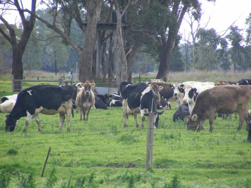 3799 Midland Hwy, Stanhope VIC 3623