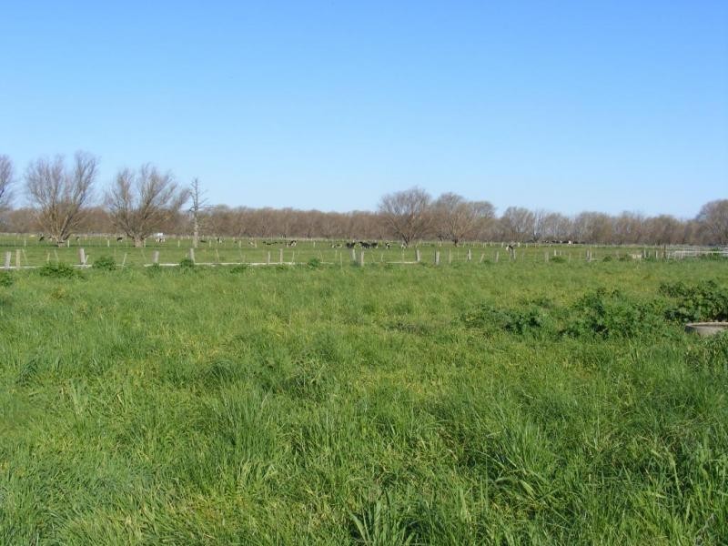 110 Hutchison Road, Undera VIC 3629