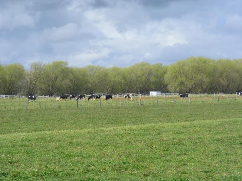 110 Hutchison Road, Undera VIC 3629